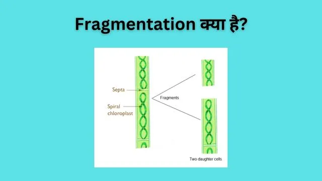 Fragmentation in OS in Hindi