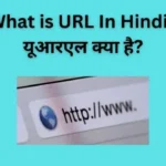 What is URL In Hindi